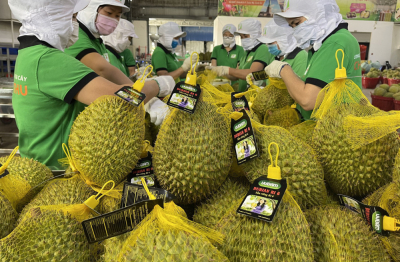 Xuất khẩu rau quả lập kỷ lục mới