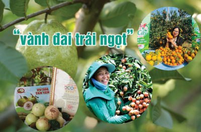 Chuyến du hành giữa sắc xanh và hương trái ở đất Kinh Bắc