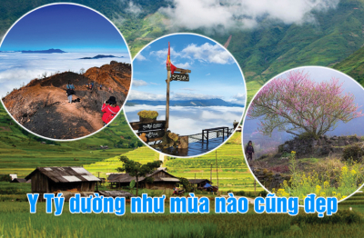 Y Tý “mỏ vàng” chờ khai phá