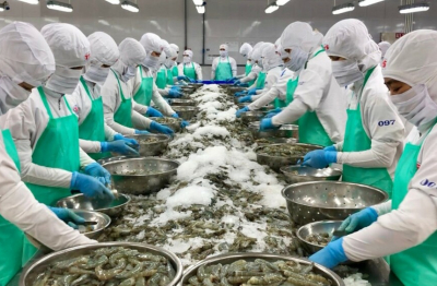 Thủy sản đặt mục tiêu xuất khẩu 11,5 tỷ USD năm 2026, chuyển hẳn sang tư duy kinh tế ngành