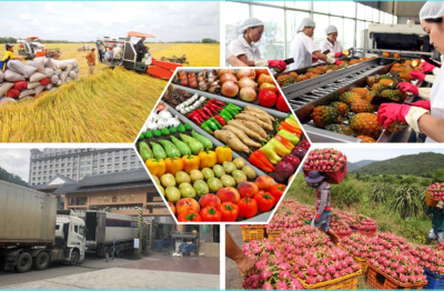 Bỏ kê khai thuế GTGT với nông, lâm, thủy sản chưa chế biến từ 2026