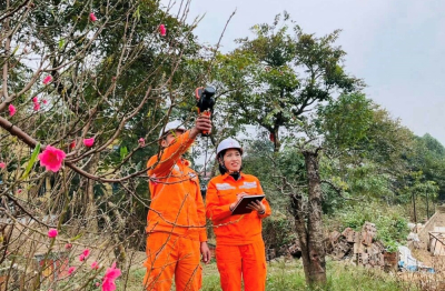 Lời chào năm mới từ những người giữ dòng điện miền Bắc