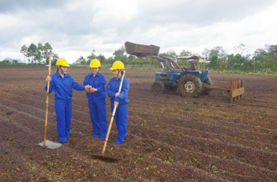 OCOP Đắk Lắk: Từ chuẩn hóa sản phẩm đến chinh phục thị trường