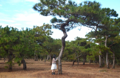 Gia Lai chính thức chấp nhận nhà đầu tư Dự án Sân Golf Đak Đoa hơn 1.150 tỷ đồng