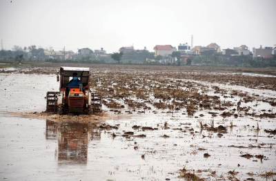 Thêm hơn 6% diện tích có nước để gieo cấy vụ Đông Xuân