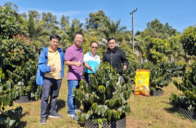 Phú Mỹ bén duyên với cao nguyên Bolaven - hành trình kiến tạo giá trị bền vững cho cà phê Lào