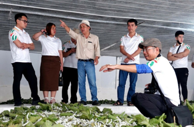 Tổng tài sản của HAGL vượt 1 tỷ USD, lợi nhuận cao kỷ lục 