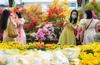 ROX Living Diễn Châu: Điểm hẹn lễ hội và không gian sống – kinh doanh mới của Bắc Nghệ An