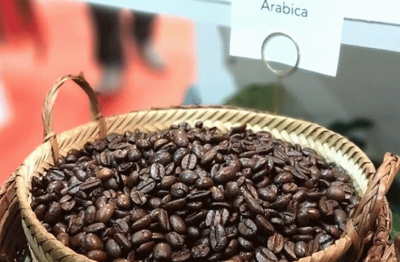 Lào đưa vào vận hành nhà máy rang cà phê bằng hydro đầu tiên tại châu Á