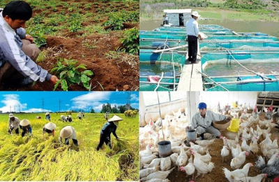 Nhiều sản phẩm, dịch vụ sản xuất nông nghiệp hưởng mức thuế ưu đãi 5%