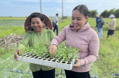 Chủ động sản xuất trồng trọt trong Tết Nguyên đán, đảm bảo gieo cấy lúa đúng thời vụ