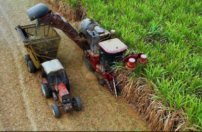 Nhà máy Đường An Khê đóng góp hơn 216 tỉ đồng vào ngân sách tỉnh