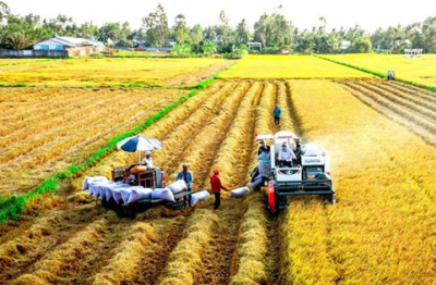 Hợp tác khu vực - “Chìa khóa” giảm phát thải khí nhà kính trong nông nghiệp