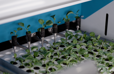 Singapore vận hành trang trại thẳng đứng cao nhất thế giới, ứng dụng AI và robot