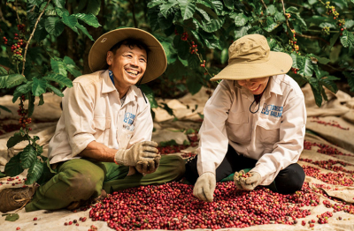 Xuất khẩu cà phê đạt hơn 1 tỷ USD trong tháng 1/2026