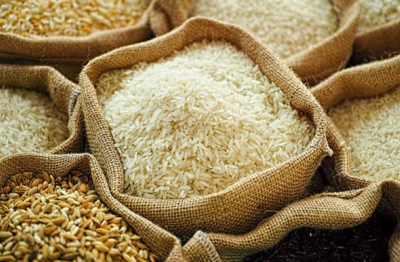 Giá gạo châu Á giảm do nhu cầu suy yếu