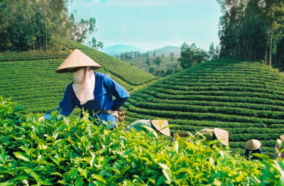 Xuất khẩu nông sản Việt ảnh hưởng lớn từ xung đột Trung Đông