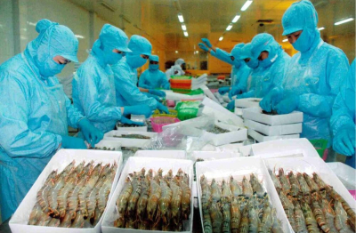 Thủy sản Việt xoay trục khi Mỹ siết chuẩn
