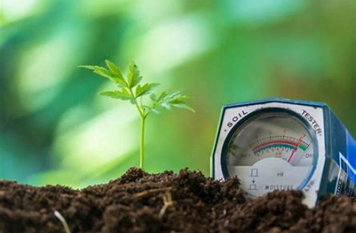 5 giải pháp giúp nông dân nâng cao hiệu quả sản xuất trong bối cảnh chi phí gia tăng