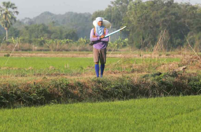 Đông Nam Á đối mặt nguy cơ thiếu phân bón khi giá tăng mạnh do xung đột Iran