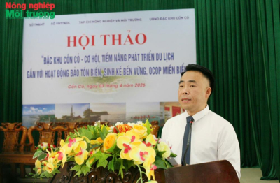 Cồn Cỏ – Đánh thức “viên ngọc xanh” theo hướng kinh tế biển bền vững