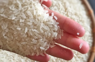 Việt Nam đề nghị EU sửa đổi danh mục gạo thơm ưu đãi thuế