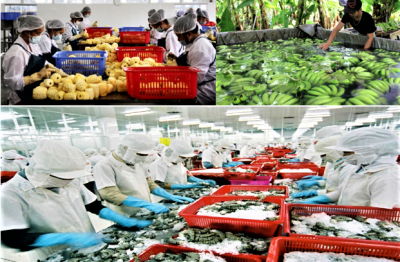 Tổng trị giá xuất nhập khẩu hàng hoá tăng 24,5% so với cùng kỳ năm trước