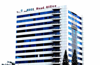 HAGL lãi hơn 1.100 tỉ đồng trong quý 1, hoàn thành gần 30% kế hoạch năm