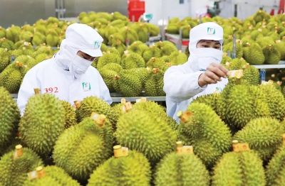 Gỡ 