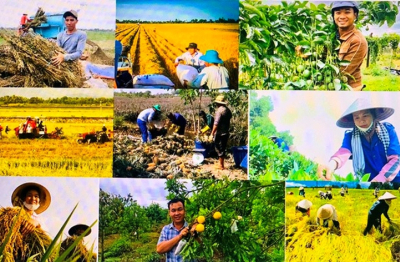 Cắt giảm thủ tục hành chính ở 11 lĩnh vực nông nghiệp và môi trường