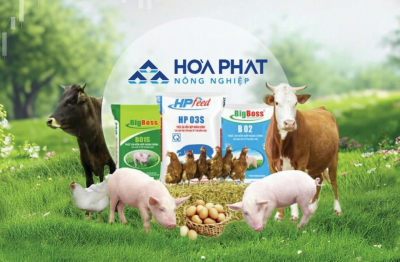 Khi những “trang trại công nghiệp” đang từng bước định hình hệ sinh thái nông nghiệp