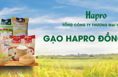 Gạo Hapro Đồng Tháp – Nâng tầm hạt ngọc Việt