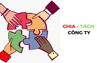Doanh nghiệp tái cấu trúc: Nên chia hay tách công ty để tối ưu vận hành?