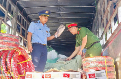 Phạt gần 600 triệu đồng, chuyển hình sự 2 vụ chở hàng giả 'khủng' tại Gia Lai