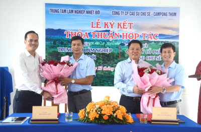 Cao su Chư Sê – Kampong Thom hợp tác toàn diện với Trung tâm Lâm nghiệp Nhiệt đới