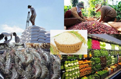 5 tháng đầu năm xuất khẩu nông lâm thủy sản đạt gần 30 tỷ USD