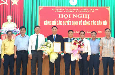 Ông Nguyễn Tiến Dũng làm tân Chủ tịch HĐTV Cao su Chư Sê sau sáp nhập