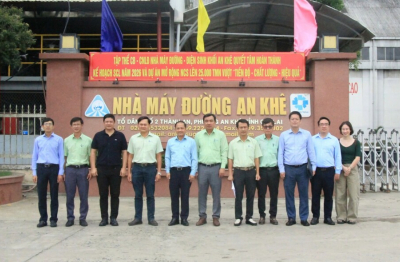 Dự án Nhà máy ethanol An Khê: ‘Mắt xích’ quan trọng cho an ninh năng lượng
