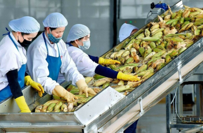 Cục Hải quan yêu cầu ưu tiên thông quan nông sản xuất khẩu trong ngày