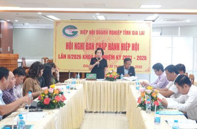 HHDN Gia Lai: Nhìn lại một nhiệm kỳ bản lĩnh, hướng tới chặng đường mới