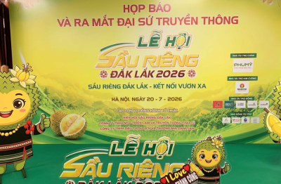 Lễ hội Sầu riêng Đắk Lắk năm 2026: Nâng tầm chuỗi giá trị và thúc đẩy du lịch