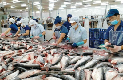 Xuất khẩu thủy sản chững lại, ba kịch bản cho năm 2026
