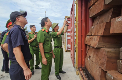 Lật tẩy thủ đoạn giấu hơn 1,1 tấn ngà voi trong 3 container gỗ nhập khẩu