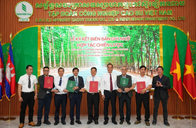 Cao su Chư Sê – Kampong Thom ký kết hợp tác chiến lược với các đối tác ngành gỗ
