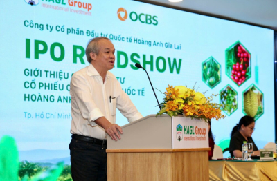 HAGL IPO công ty con, mục tiêu lãi hơn 1.600 tỉ đồng