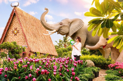 Gia Lai: Mang sắc màu đại ngàn về phố biển Quy Nhơn