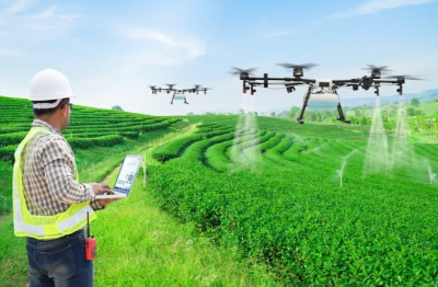 Vai trò của khuyến nông trong phổ biến nông nghiệp chính xác