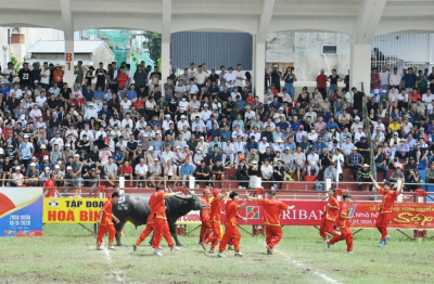 Nảy lửa sới chọi Đồ Sơn VTV 2026: Những 