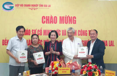 Hiệp hội Doanh nghiệp tỉnh Gia Lai làm việc với Giáo sư Cổ Minh Đức