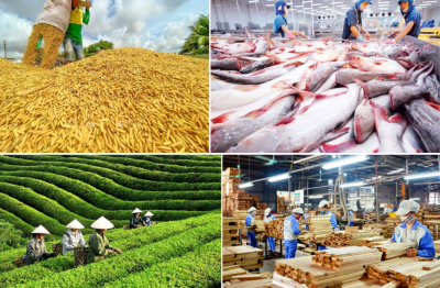 Châu Á tiếp tục chiếm tỷ trọng lớn trong xuất nhập khẩu nông lâm thủy sản Việt Nam